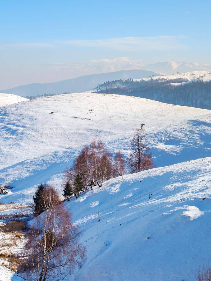 Statiunea Paltinis baie luxoasa cu cabina de dus Pensiunea La Vâltoare din Mărginimea Sibiului