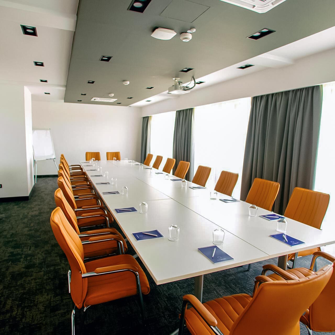 Sala conferinte Pensiunea La Valtoare, Gura Raului